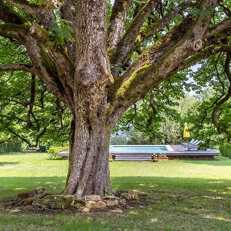 Villa Enchanting Dordogne Château With Pool Urval
